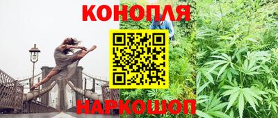 крисы Гусиноозёрск