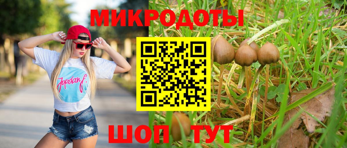 Кириши  Галлюциногенные грибы мицелий  где продают наркотики  Вход с VPN 